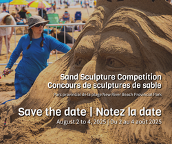 Concours de sculptures de sable